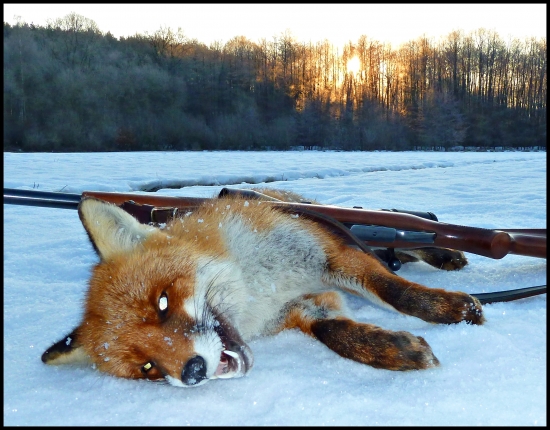 Dnes ráno - že by už bolo po smole ? :-)