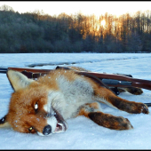 Dnes ráno - že by už bolo po smole ? :-)