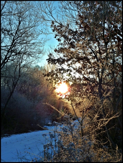 mrazivé ráno II. ...