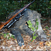 Lanštiačik z jesene ...