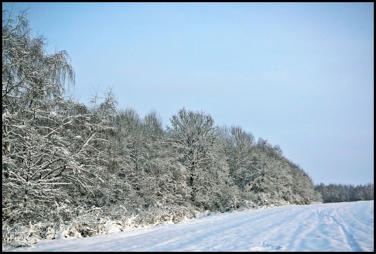 zasnežená ...