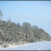 zasnežená ...