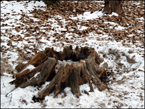 prírodné solisko ...