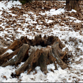 prírodné solisko ...