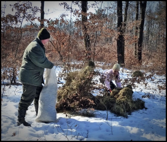Aj dorast sa činil ...