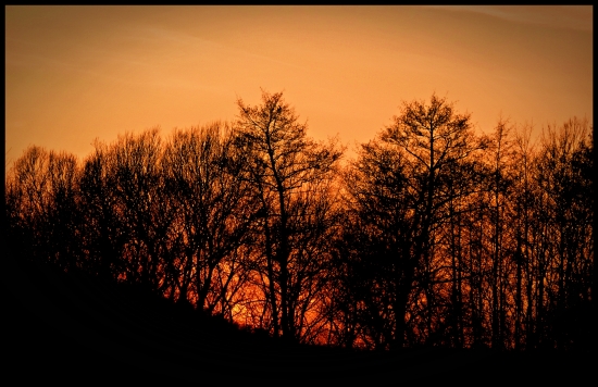 nedalo sa neodfotiť ... :-)