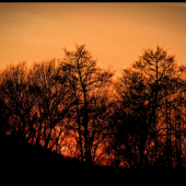 nedalo sa neodfotiť ... :-)