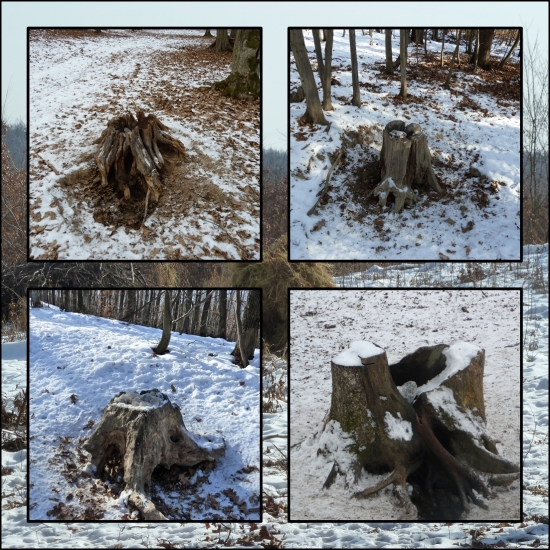 zopár našich solísk ...