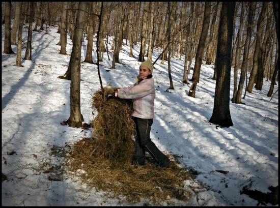 dorast pri kŕmení ...