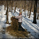 dorast pri kŕmení ...