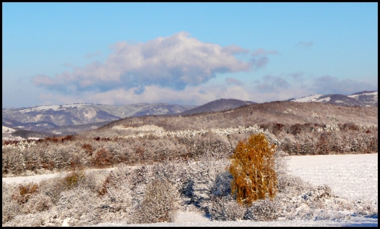 sniežiková ... :-)