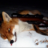 konečne ďalšia líška ...