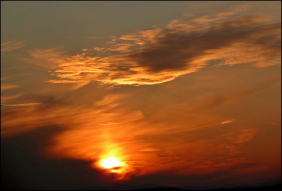 pri čakaní na líšku ...