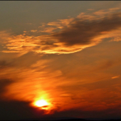 pri čakaní na líšku ...