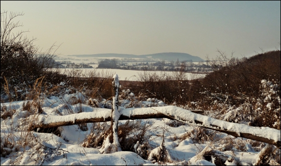 zasnežený rybník ...
