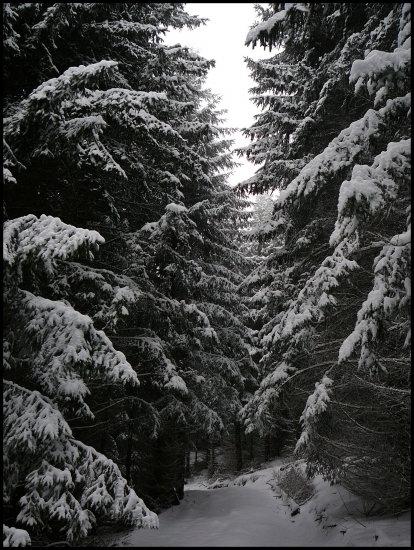 zasneženou cestou ...