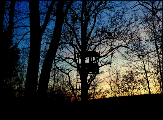 pamätník dávnych čias ...