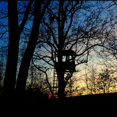 pamätník dávnych čias ...