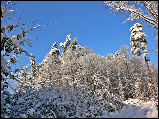 snehové kráľovstvo ...