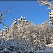 snehové kráľovstvo ...