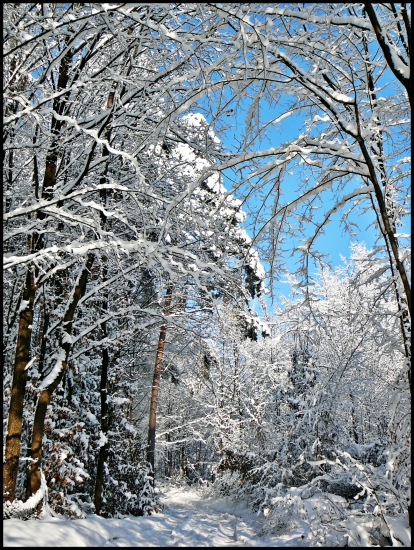 zasneženou cestou ...
