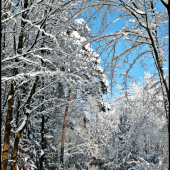 zasneženou cestou ...