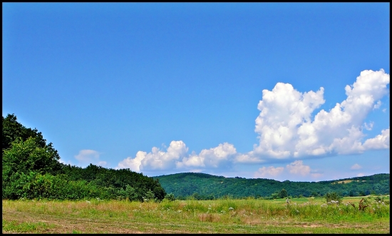 obláčiková  ...:-)
