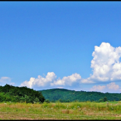 obláčiková  ...:-)
