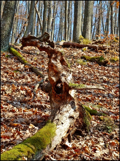 fantázii sa medze nekladú - čo Vám pripomíma ? ...