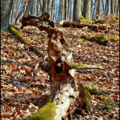 fantázii sa medze nekladú - čo Vám pripomíma ? ...