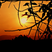 západová náladovka ...