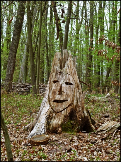 lesný škriatok ...