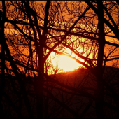 cez haluze - keď sa z hory inak nedá ...