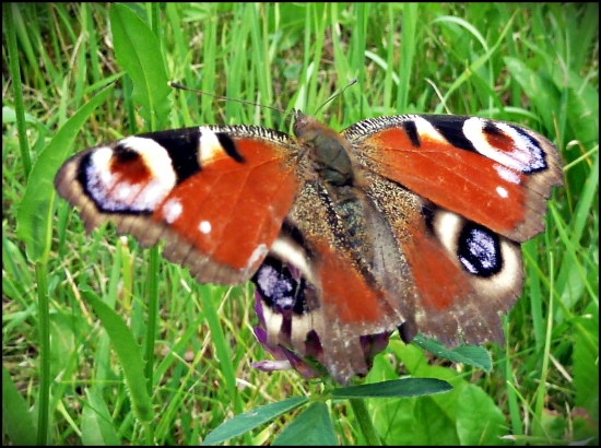 poripravená na odlet ...