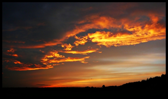 ladené do oranžova ...