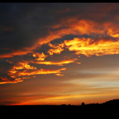 ladené do oranžova ...