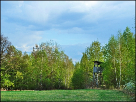 zátišie s posedom ...