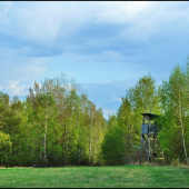 zátišie s posedom ...