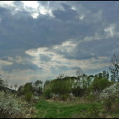 len tak  na prechádzke ...