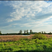 jar pri rybníku ...