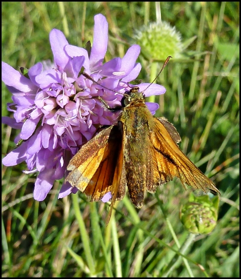 Ako keby doletel z frontu ... :-)