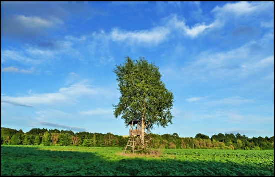 môj obľúbený ...