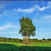 môj obľúbený ...