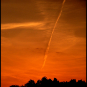podvečerná obloha ...