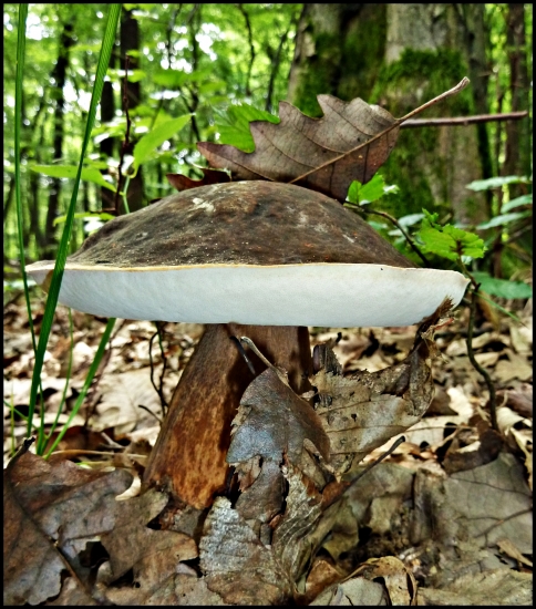 jeden z najkrajších tejto sezóny, zatiaľ ...