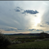 jarný podvečer ...