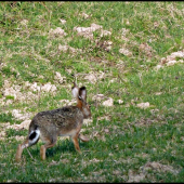 tak ja odchádzam ...