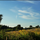 Na Ľahockej pastve ...