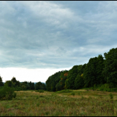 pod Starým hájom ...