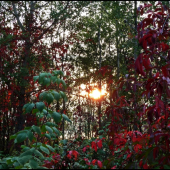 jesenný podvečer ...